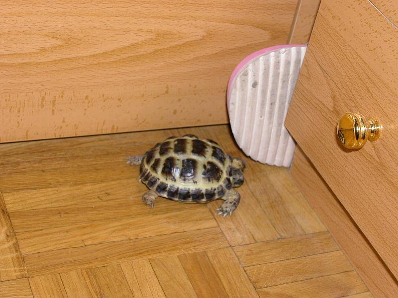 DSCN0664.JPG