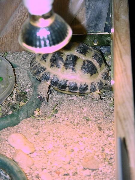 DSCN0720.JPG