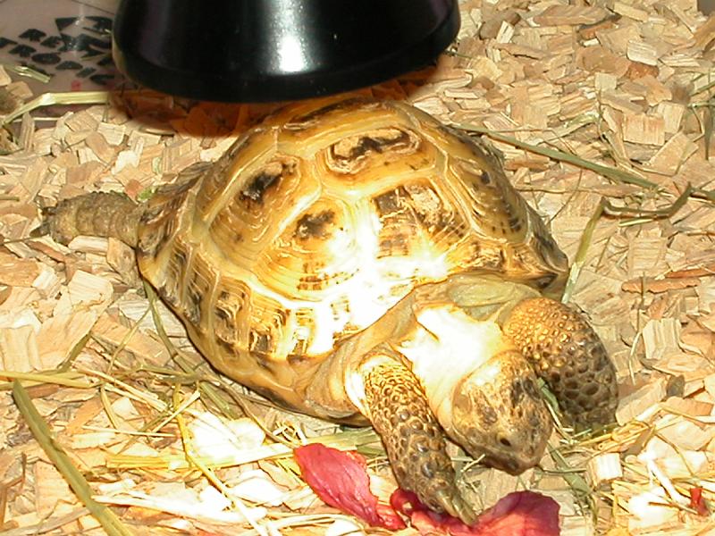 DSCN0745.JPG