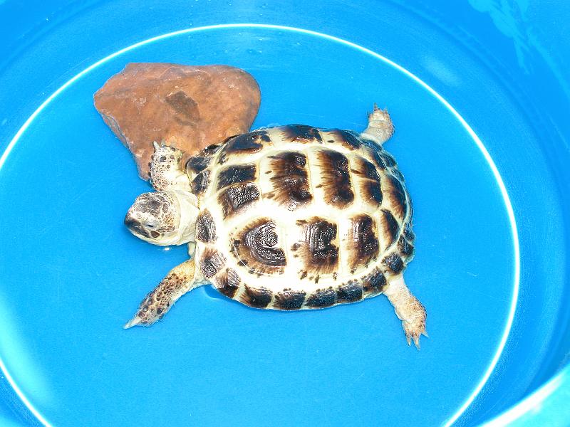 DSCN0762.JPG