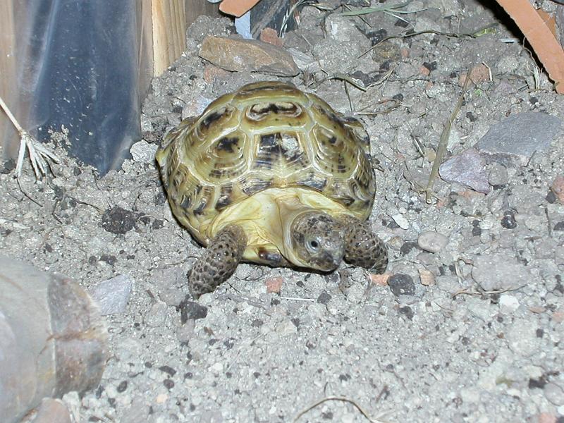 DSCN0825.JPG