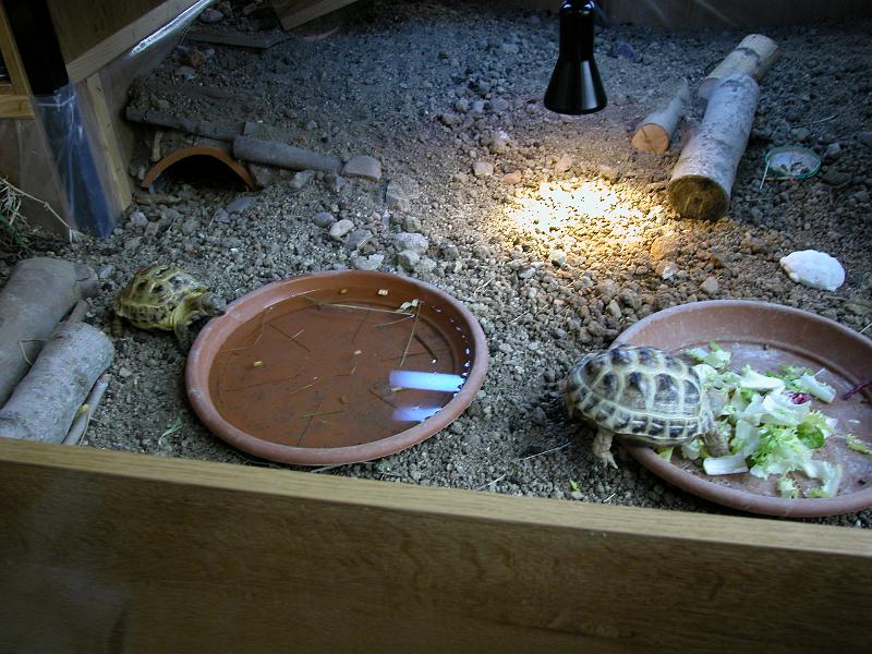 DSCN0830.JPG