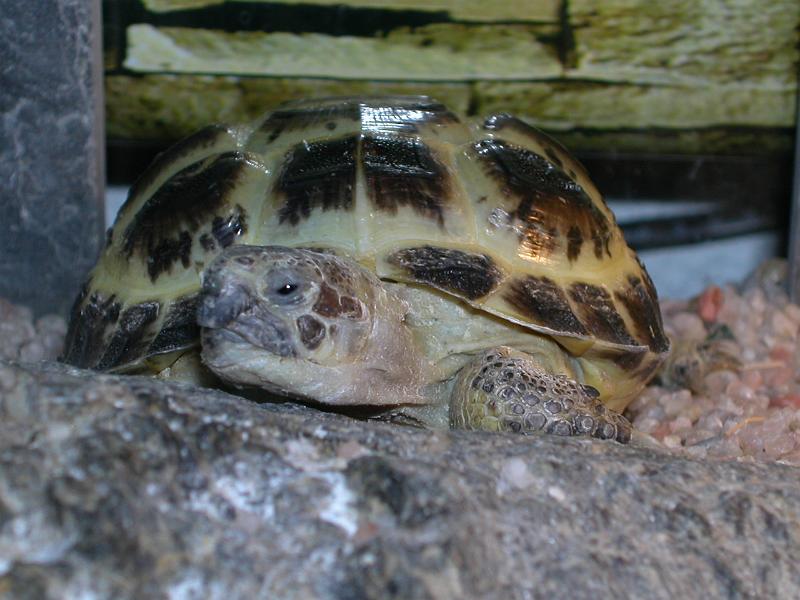 DSCN0852.JPG
