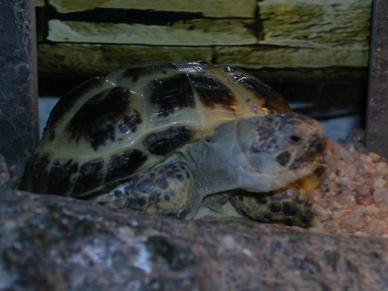 DSCN0856.JPG