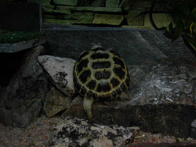 DSCN0869.JPG