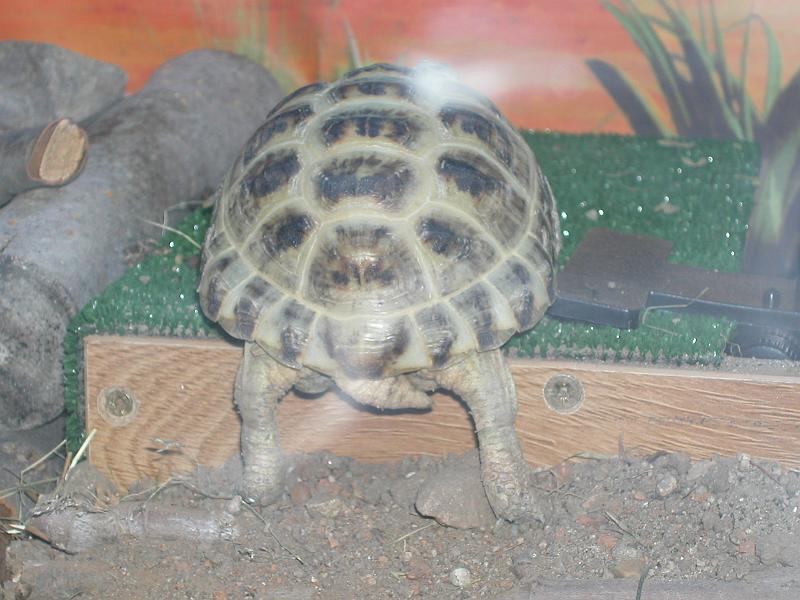 DSCN0891.JPG
