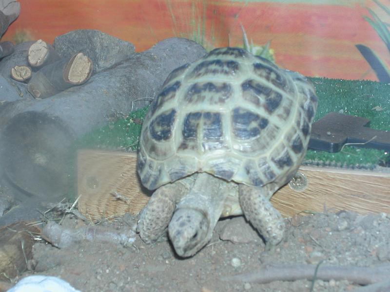 DSCN0896.JPG