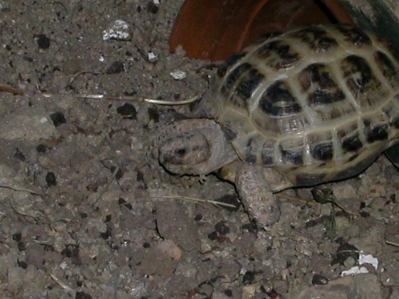DSCN0898.JPG