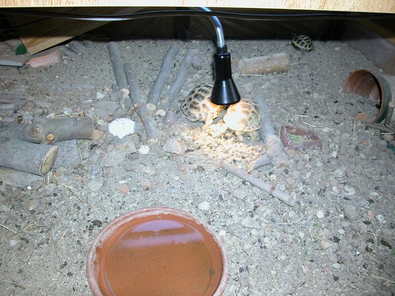 DSCN1044.JPG