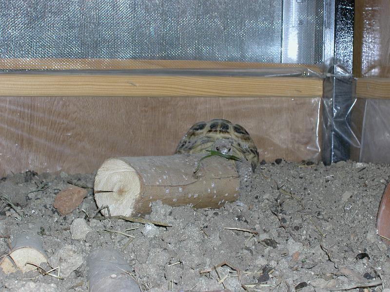 DSCN1049.JPG