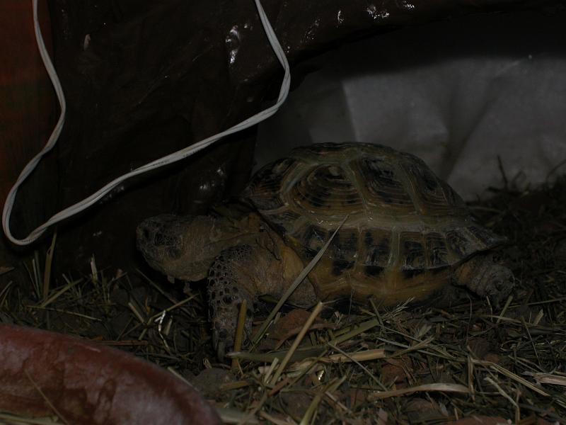 DSCN1050.JPG