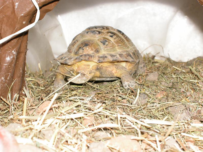 DSCN1051.JPG