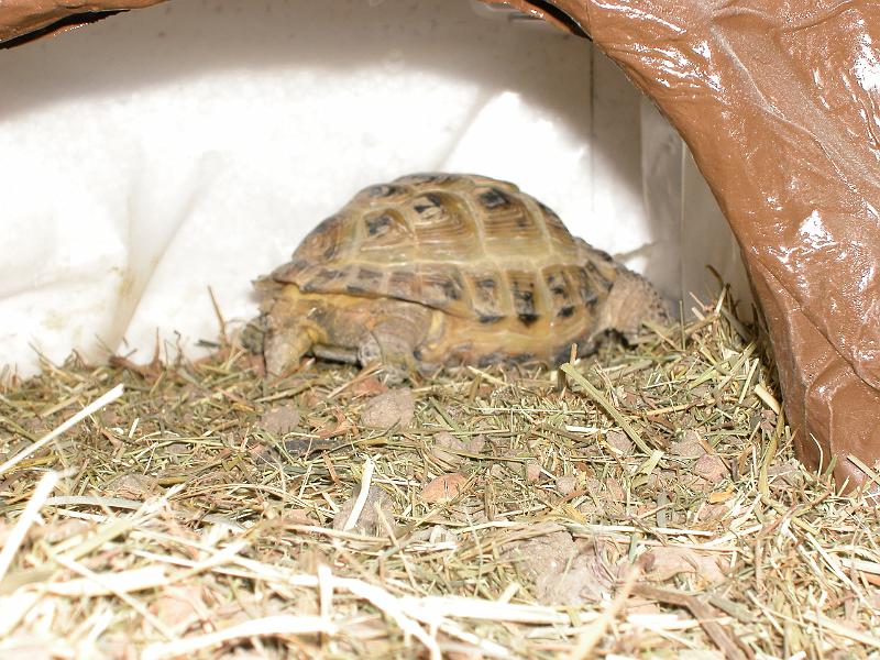 DSCN1052.JPG