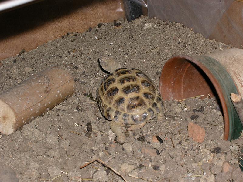 DSCN1059.JPG
