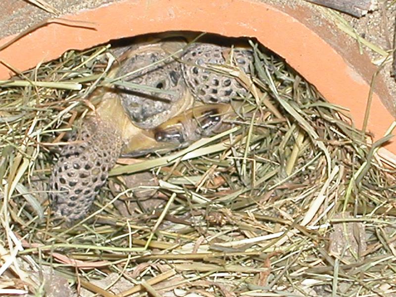 DSCN1155.JPG