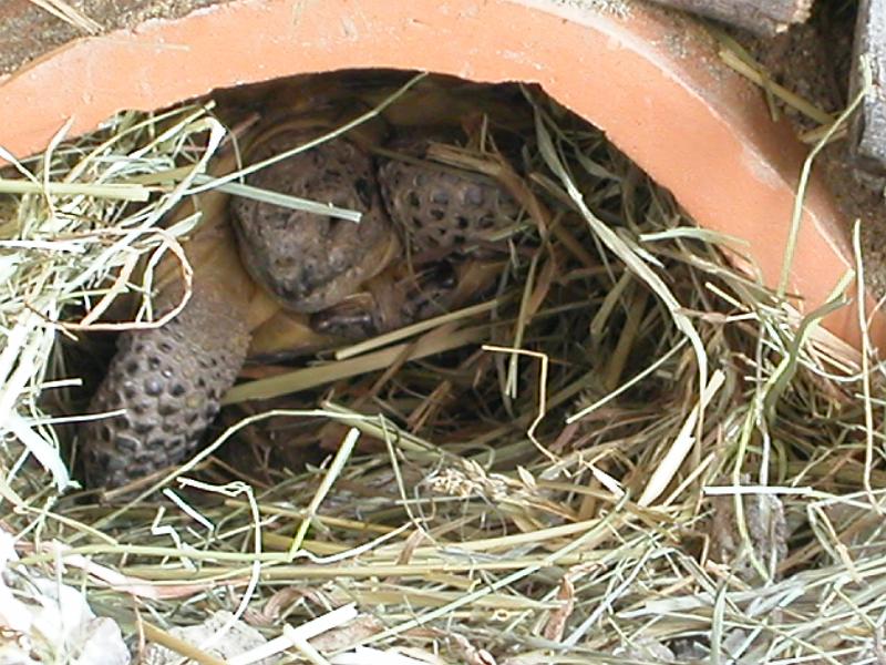 DSCN1157.JPG