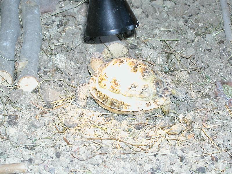 DSCN1173.JPG