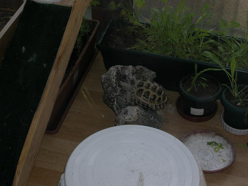 DSCN1534.JPG