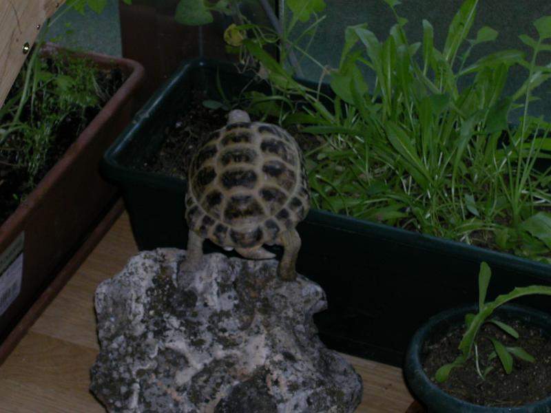 DSCN1537.JPG