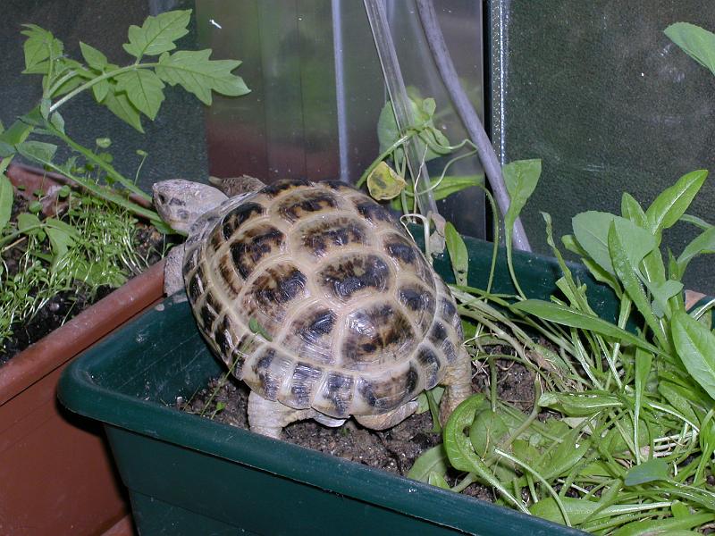 DSCN1540.JPG