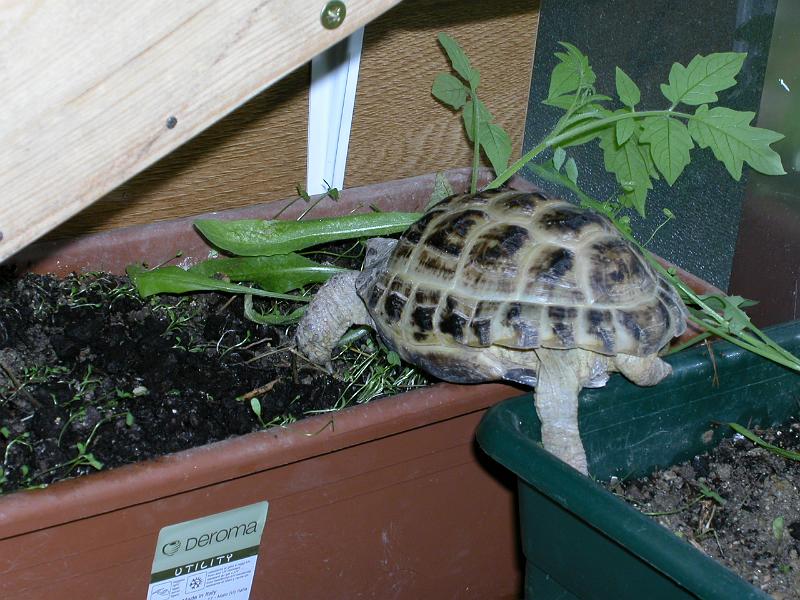 DSCN1542.JPG