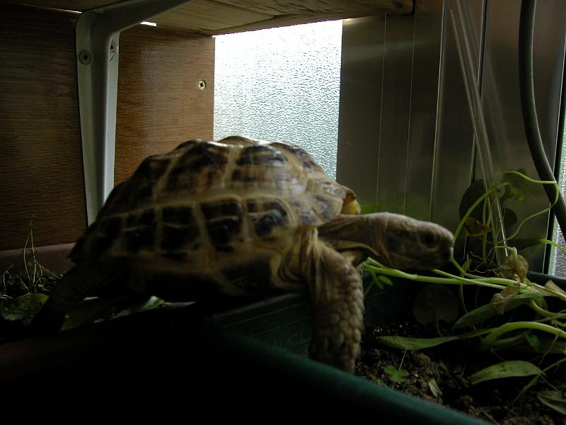 DSCN1557.JPG