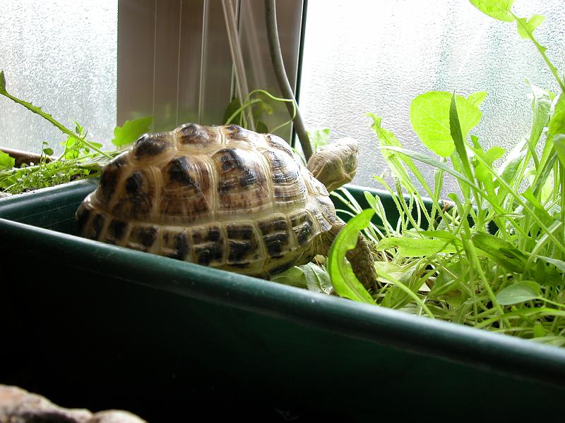 DSCN1558.JPG