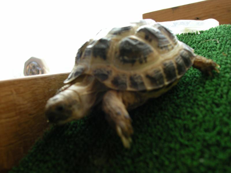 DSCN1562.JPG