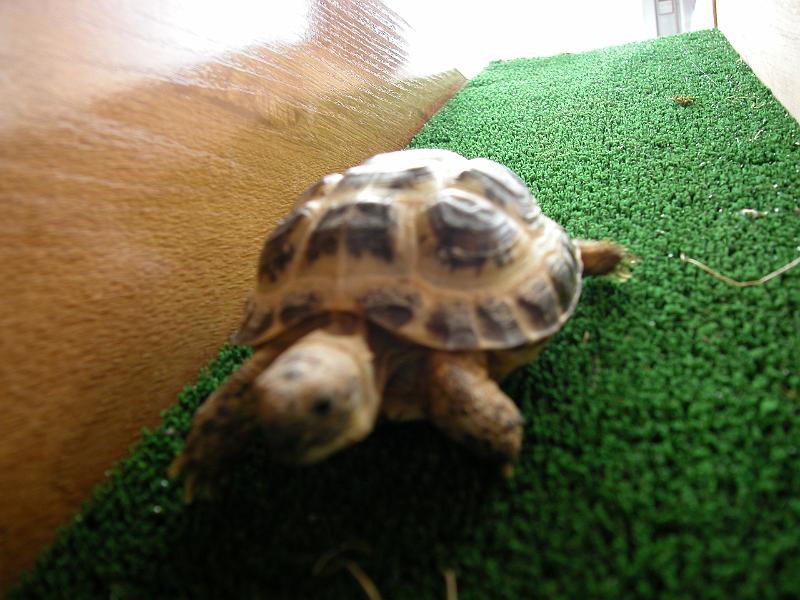 DSCN1564.JPG