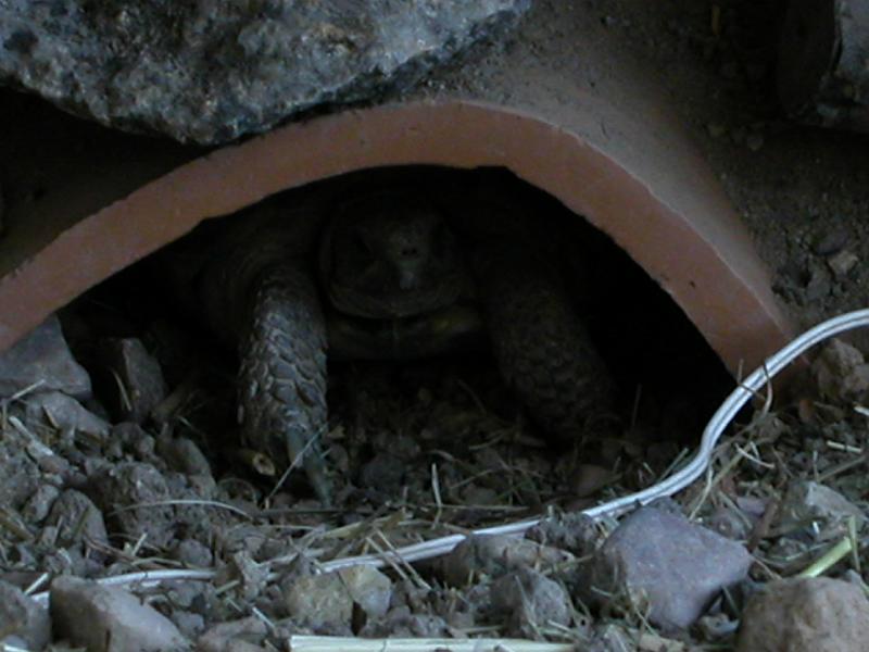 DSCN1848.JPG