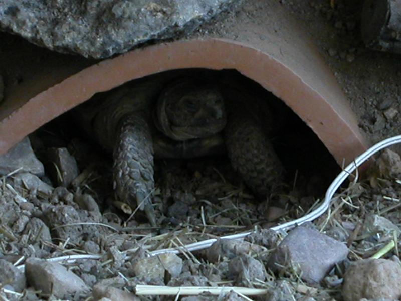 DSCN1856.JPG