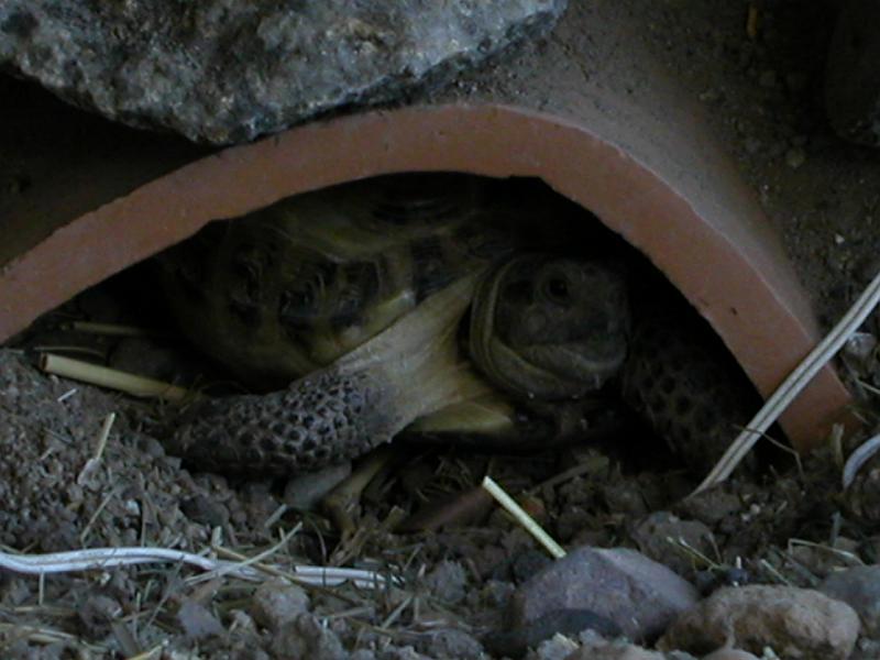 DSCN1860.JPG