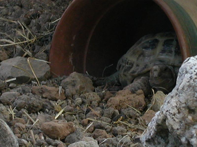 DSCN1865.JPG