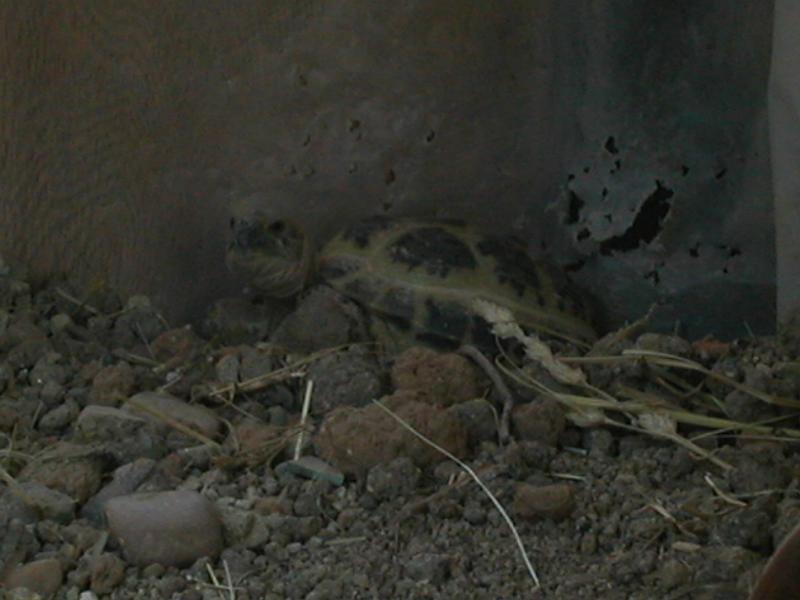DSCN1866.JPG