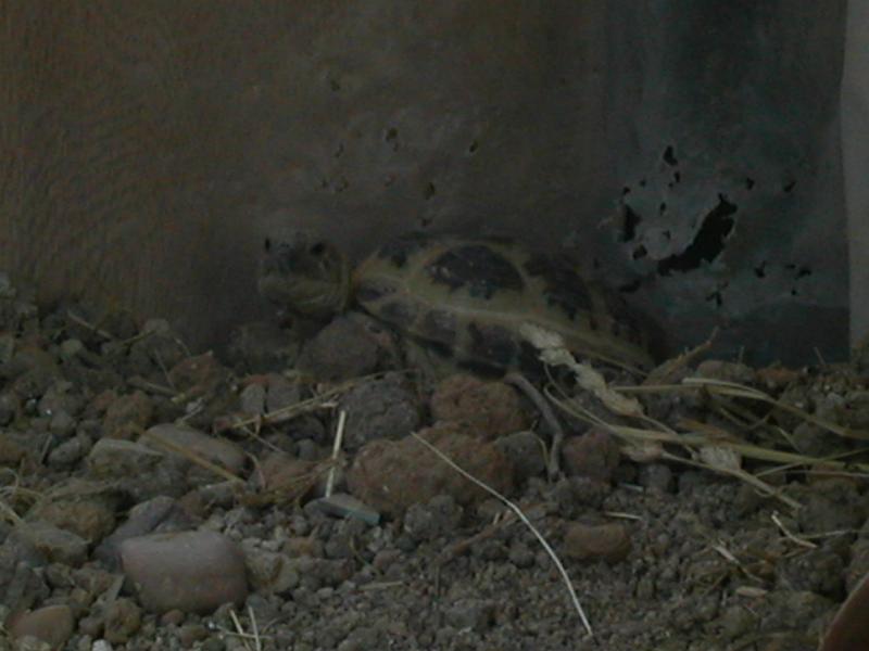 DSCN1867.JPG