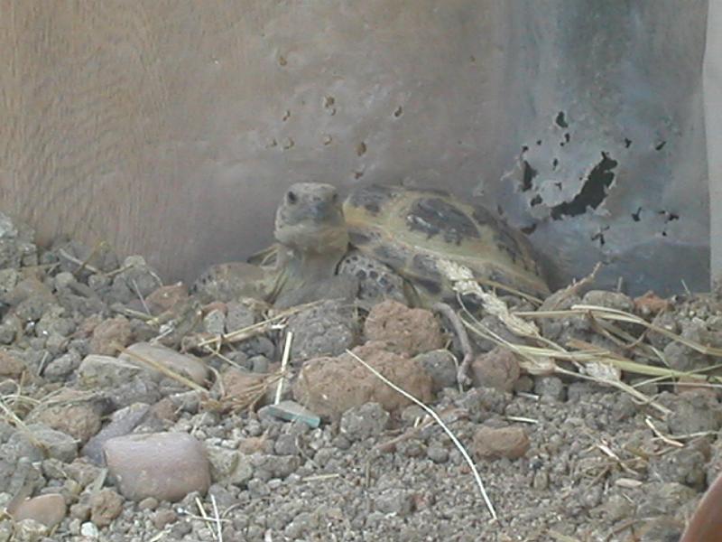 DSCN1868.JPG