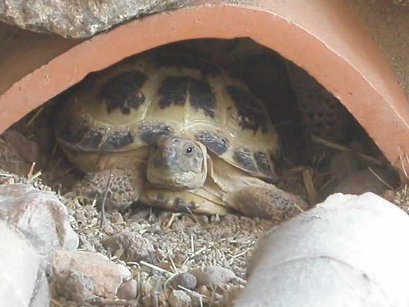 DSCN2134.JPG