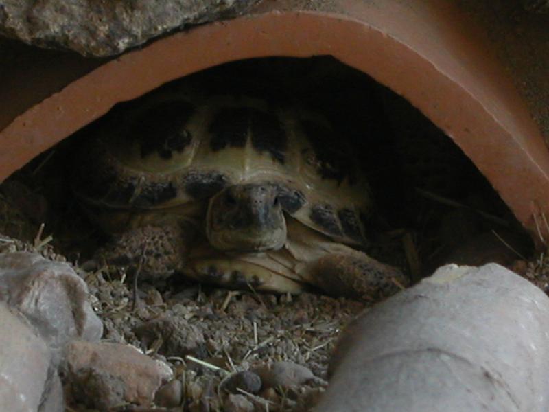 DSCN2135.JPG