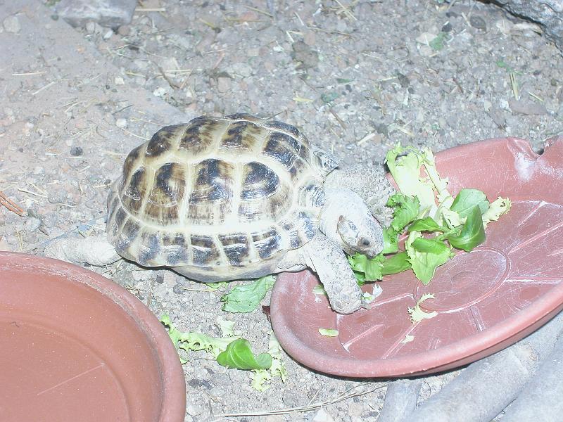 DSCN2141.JPG