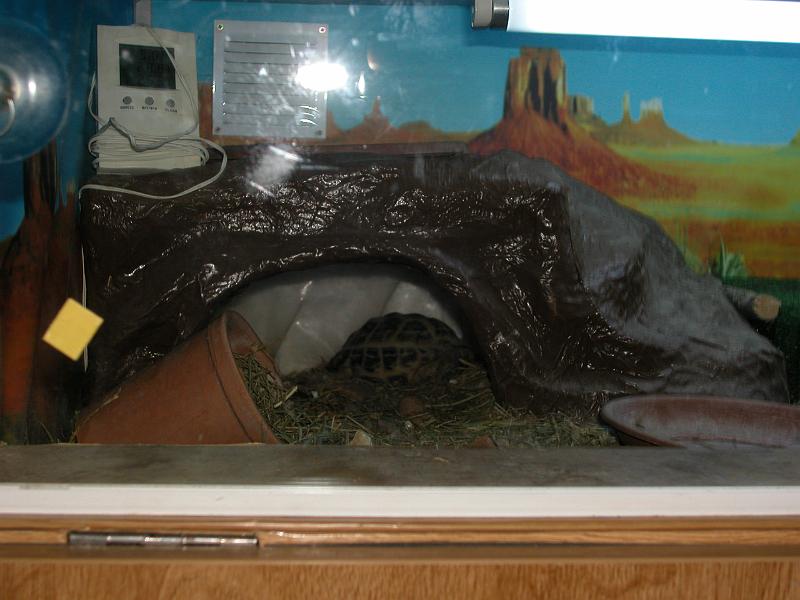 DSCN4727.JPG