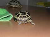 DSCN0571