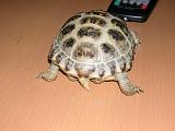 DSCN0579