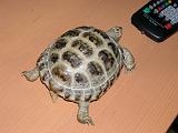 DSCN0580