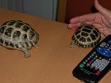 DSCN0586