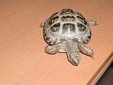 DSCN0590
