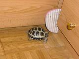 DSCN0664