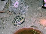 DSCN0732