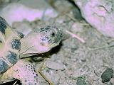 DSCN0735