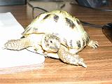 DSCN0774