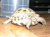 DSCN0794